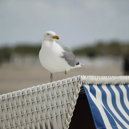Lindholm-strandnaehe -balkon-im Zentrum Von 1 * Binz