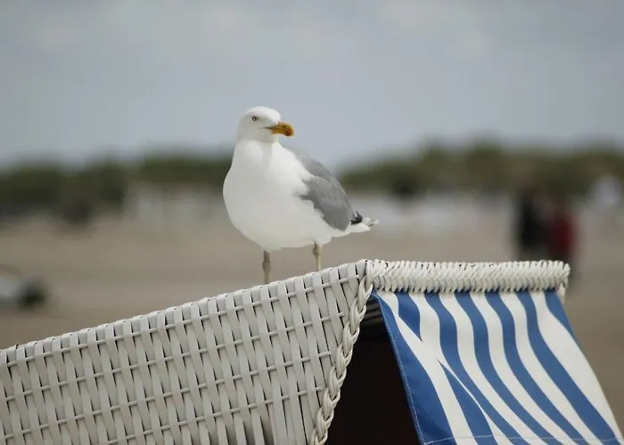 Lindholm-strandnaehe -balkon-im Zentrum Von 1 *